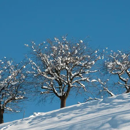 Pracondu 2 406 - Outdoor & Fun 6 Pers Διαμέρισμα *