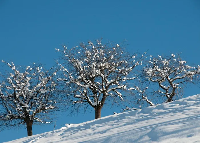 Pracondu 2 406 - Outdoor & Fun 6 Pers Διαμέρισμα *